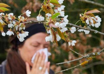 Aération en période de pollinisation : Ce que vous devez savoir