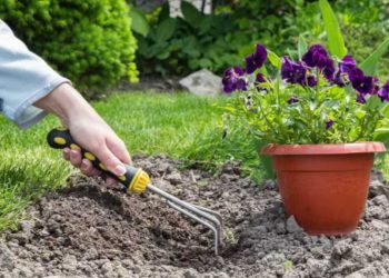 Le jardin est une thérapie : 6 conseils pour être heureux grâce au jardinage