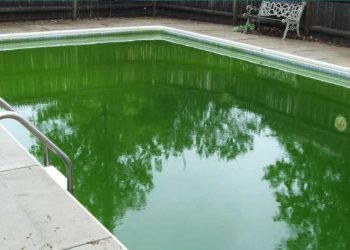 L'eau de votre piscine est verte ? Ces remèdes maison peuvent aider