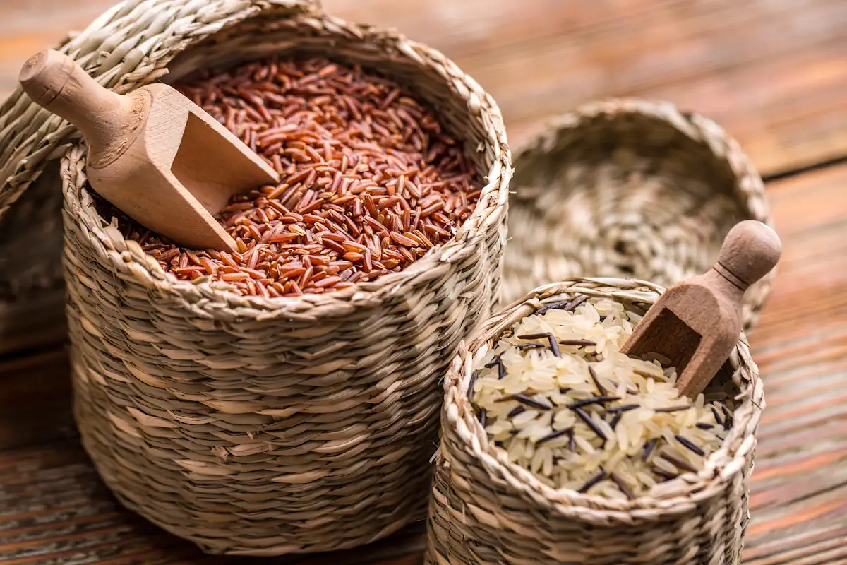 Différentes sortes de riz dans des paniers